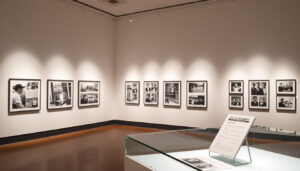World Press Photo Amsterdam 2026: Tentoonstelling & Gids