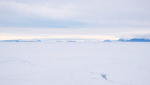 Grootste woestijn ter wereld? Antarctica, niet de Sahara